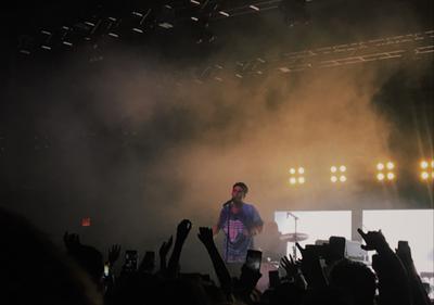 picture #8