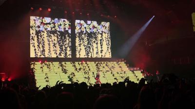 picture #99
