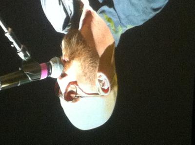 picture #13