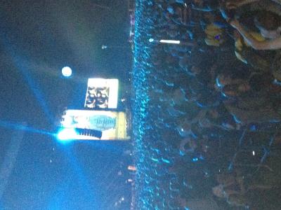 picture #5