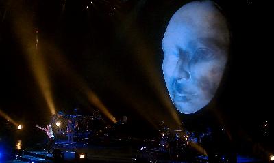 picture #11
