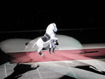 picture #8