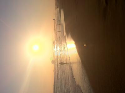 picture #24