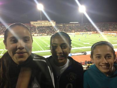 picture #16