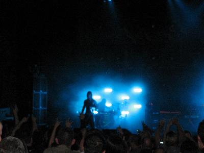 picture #6