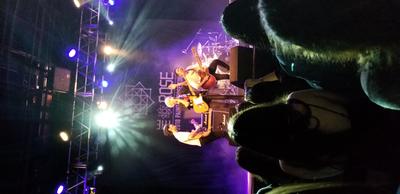 picture #6