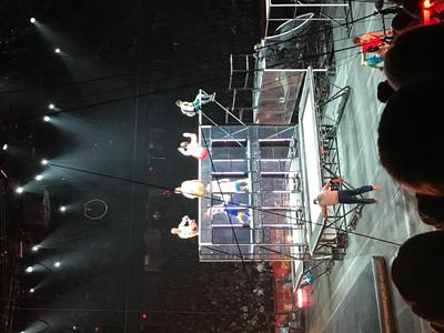 picture #16