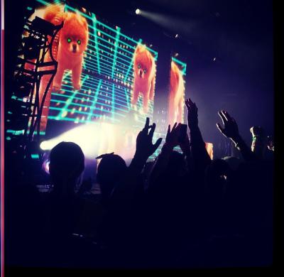 picture #97