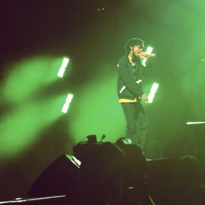 picture #7