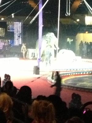 picture #5