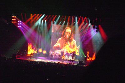 picture #82