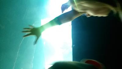 picture #7