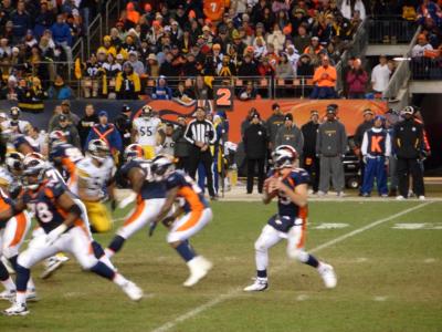 picture #31