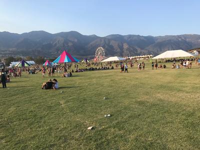 picture #12