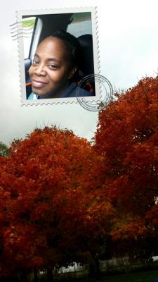 picture #7