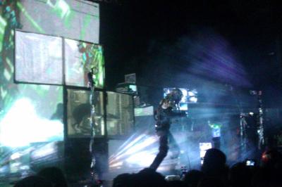 picture #8