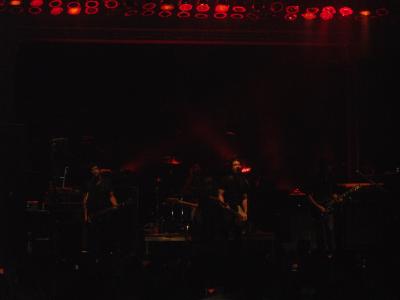 picture #12