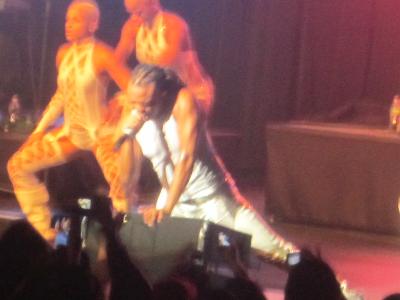 picture #9