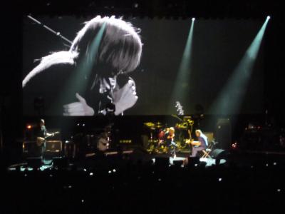 picture #14