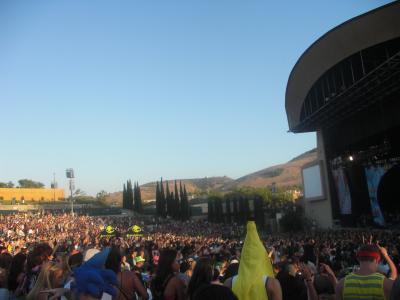 picture #32