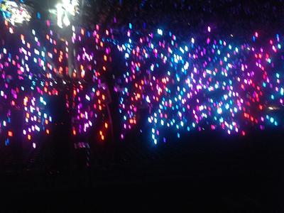 picture #30