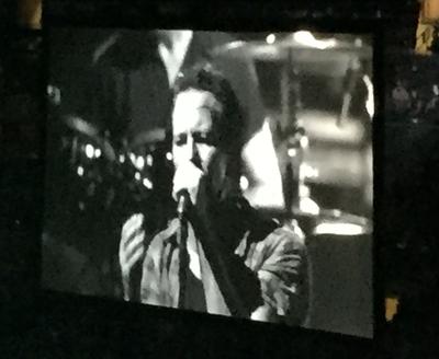 picture #5
