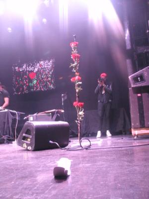 picture #3