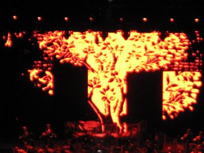picture #97