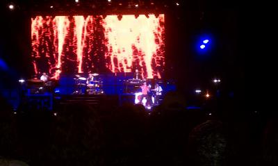 picture #32