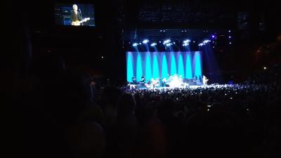 picture #41