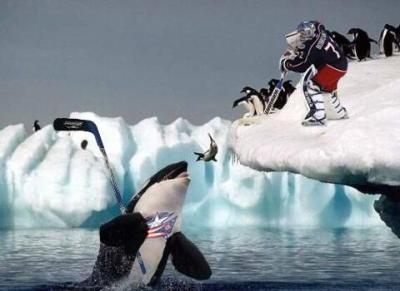 picture #74