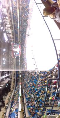 picture #8