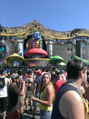 picture #5