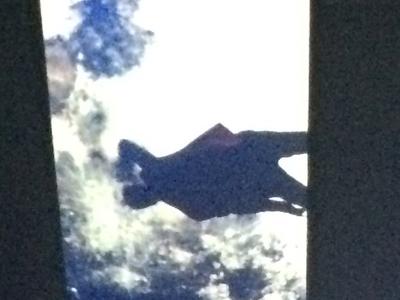 picture #4