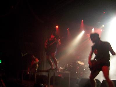 picture #14