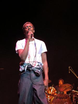 picture #8
