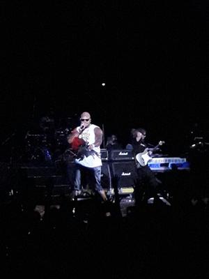 picture #7