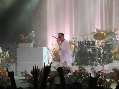 picture #9