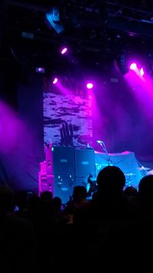 picture #12
