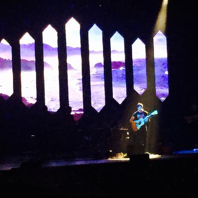 picture #16