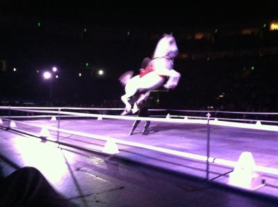 picture #7