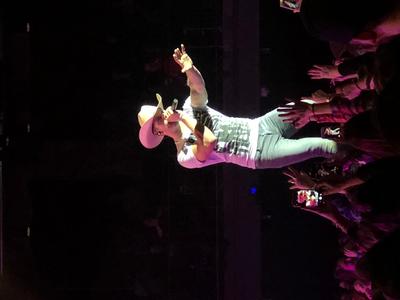 picture #14