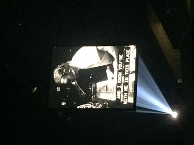 picture #21