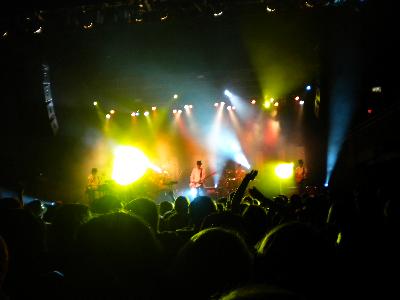 picture #16