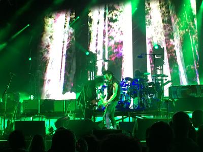 picture #16