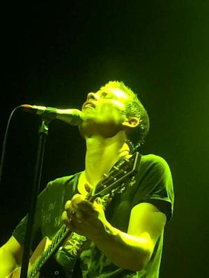 picture #17