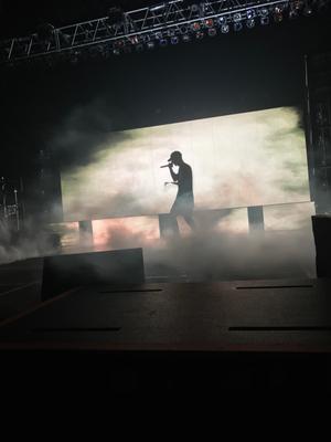 picture #14