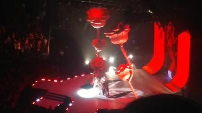 picture #51
