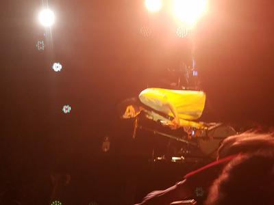 picture #11