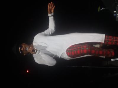 picture #11